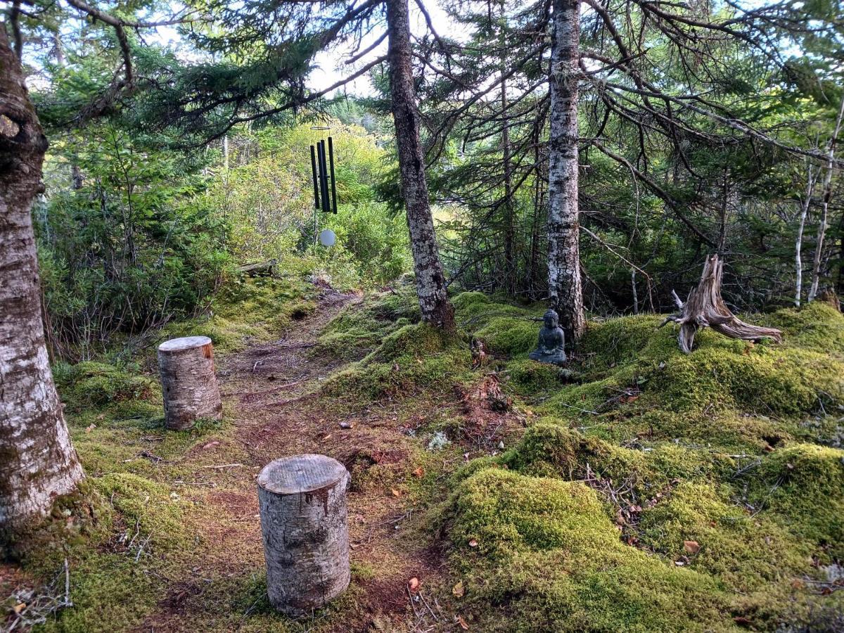 Fiddler'S Lake Escape Gabarus Extérieur photo