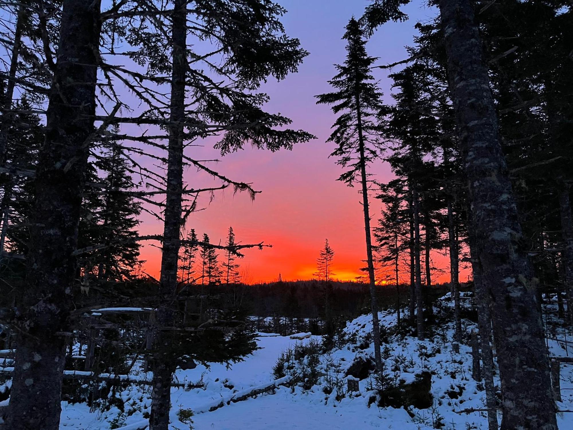 Fiddler'S Lake Escape Gabarus Extérieur photo